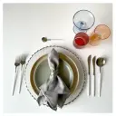 Столовая и десертная ложки, бело-серебряные